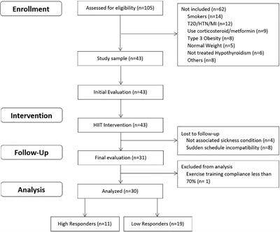 Physiological Effects and Inter-Individual Variability to 12 Weeks of High Intensity-Interval Training and Dietary Energy Restriction in Overweight/Obese Adult Women